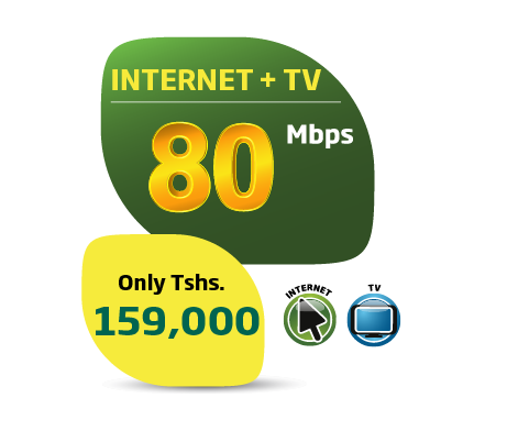 Tanzania website icons-2025 -03