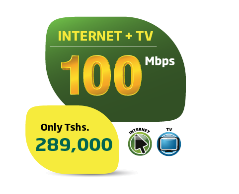 Tanzania website icons-2025 -100 Internet+TV